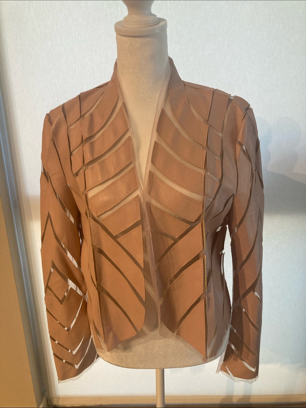 NWT AKIRA Sheer Paneled Open-Front Jacket in Pale Pink Size Small